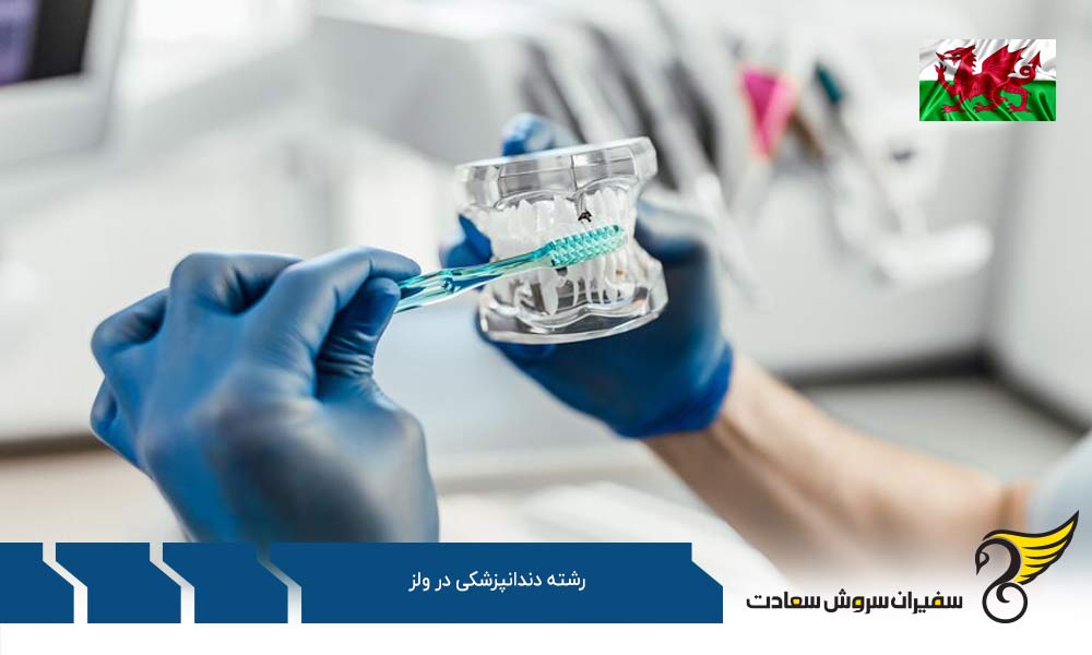 مزایای رشته دندانپزشکی در ولز