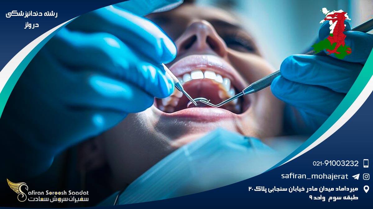 رشته دندانپزشکی در ولز