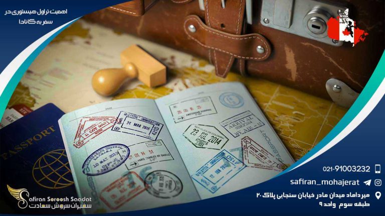 تراول هیستوری چیست