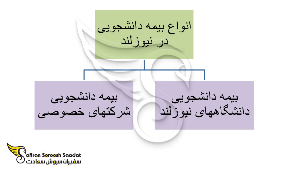 نحوه درخواست بیمه دانشجویی نیوزلند