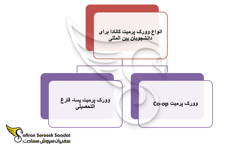 شرایط تبدیل study permit به work permit