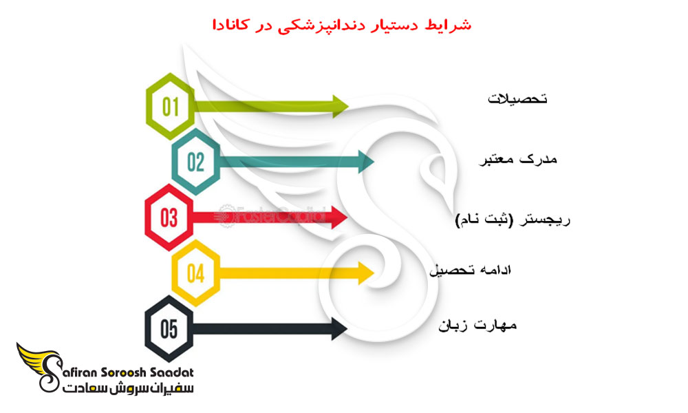 شرایط شغل دستیار دندانپزشک در خارج از کشور