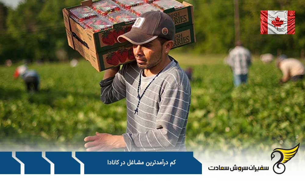 فهرست کم درآمدترین مشاغل در کانادا
