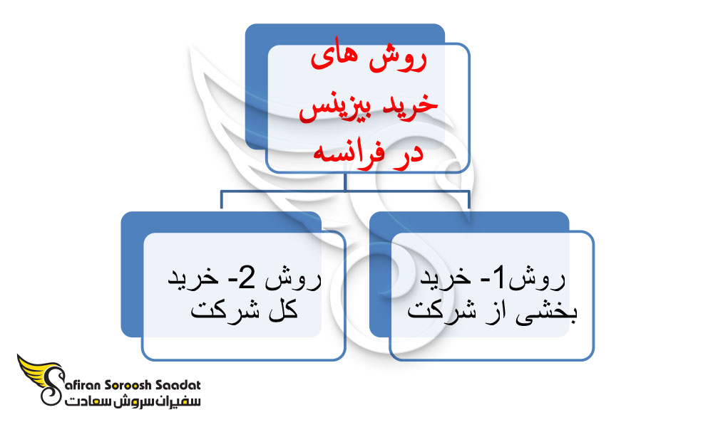 روش های خرید بیزینس در فرانسه