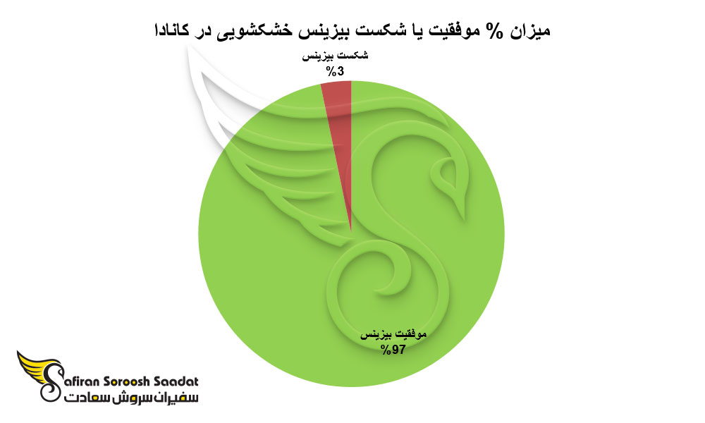 میزان موفقیت یا شکست بیزینس خشکشویی در کانادا