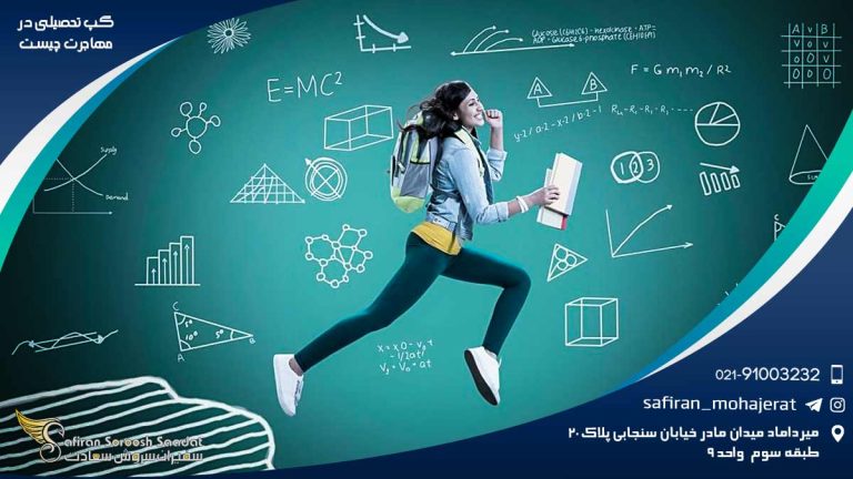 گپ تحصیلی در مهاجرت چیست