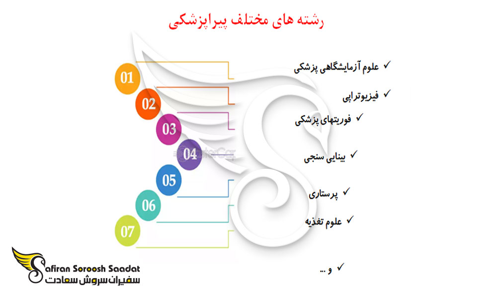 رشته های پیراپزشکی چیست